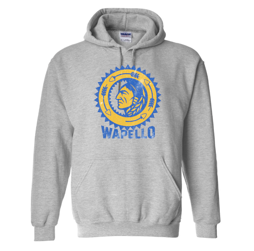 Hooded Sweatshirt (youth & adult)