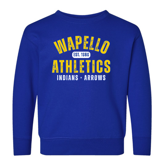 Toddler Crewneck Sweatshirt