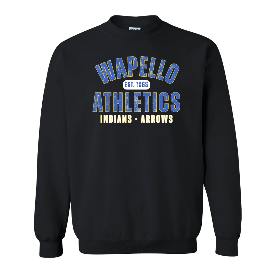 Crewneck Sweatshirt (youth & adult)